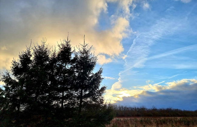 Luxury Spa Retreat in Thorsager - By Traum Ferienwohnungen - Photo 7