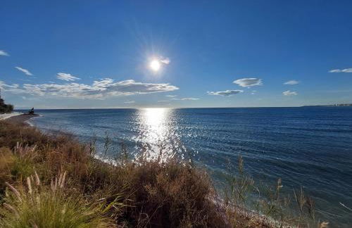 Bungalow Alkabir Playa - Photo 39