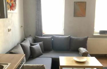 Delux Ferienwohnung Kunstgalerie und Ilmradweg - Photo 24