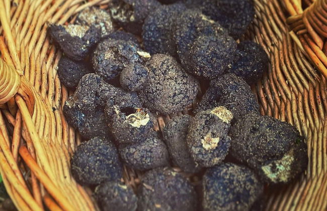 5 Person Holiday Home in Romakloster-by Traum - Foto 13