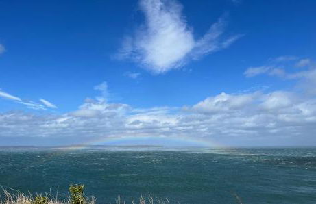 Tornaroan Cottage - Foto 68