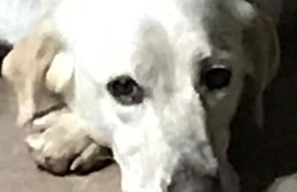 La Torre Rasa - Foto 127