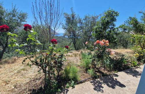 Archontoula's villa - Foto 24