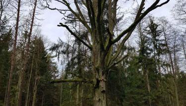 Apartament w Supraślu - Foto 5