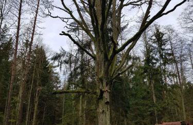 Apartament w Supraślu - Foto 5