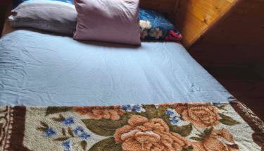 Zofiówka las - Foto 4