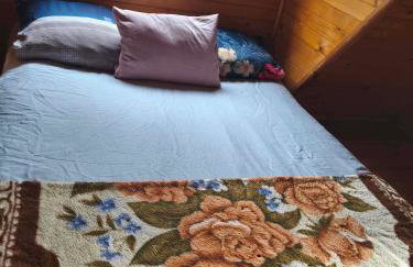 Zofiówka las - Foto 4