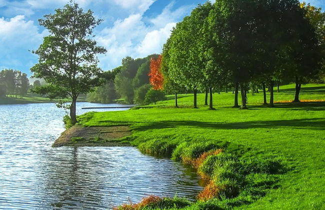 Luxury Family Holiday Home With Wellness - Foto 37