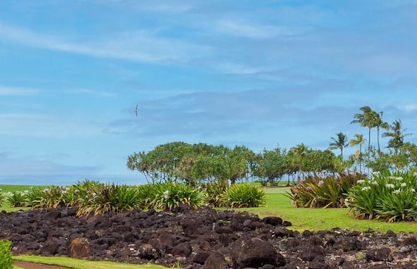 Emmalani Court 411 - Photo 26