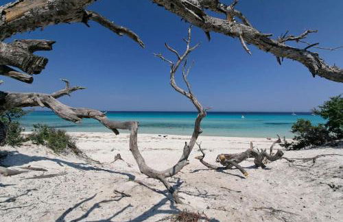 Villa Carletti à 3min des plages (7pers. - 3ch.) - Foto 48