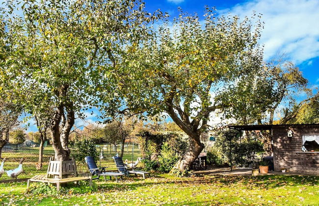 Ferienhaus in Thorstorf mit Garten - Foto 30