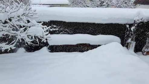 Ferienwohnung Schwarzwaldglück - Foto 5