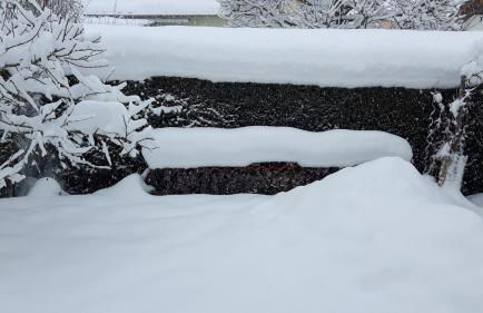 Ferienwohnung Schwarzwaldglück - Foto 5