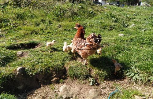 Aldeia de Moura Morta - Foto 36