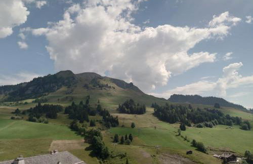 L'Alcove du Chinaillon - Foto 12