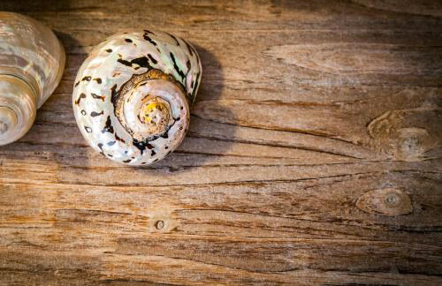 Villa Teresa Luxury Suites - Photo 48