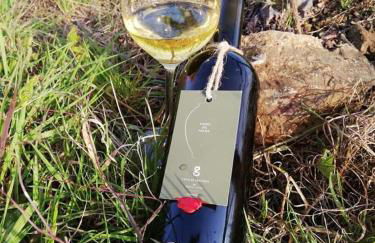 Casa Grainha Vidigueira - Foto 22