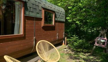 Irenes Tinyhouse - Foto 4