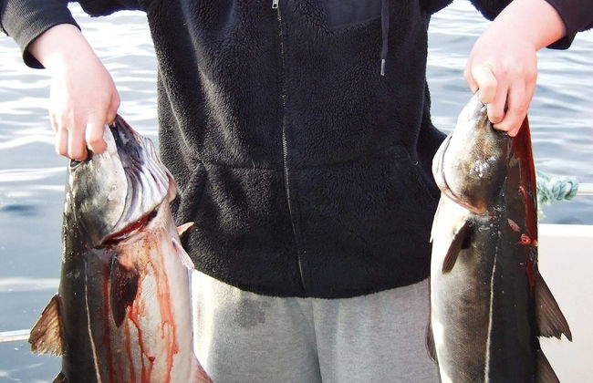 Holiday Home in Rebbenes - Photo 1