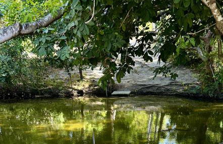 Sítio Encanto do Delta - Photo 6