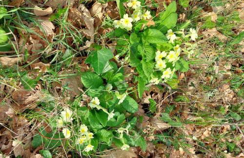 Gîte des Graves de Lilou - Foto 70
