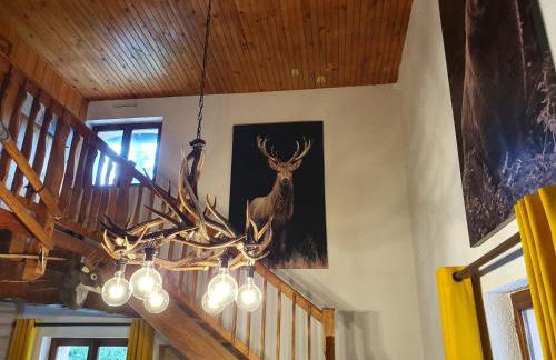 LE CHALET VOSGIEN bain nordique Kota Grill - Foto 17