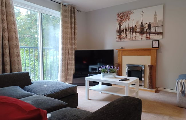 White Door Malt - Huku Kwetu - Foto 13