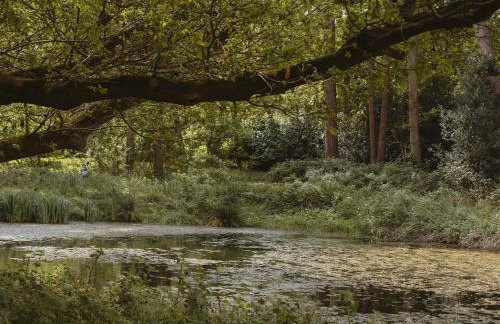 Moat Island Glamping - Foto 8