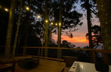 La negra - cabana entre araucárias - Foto 17