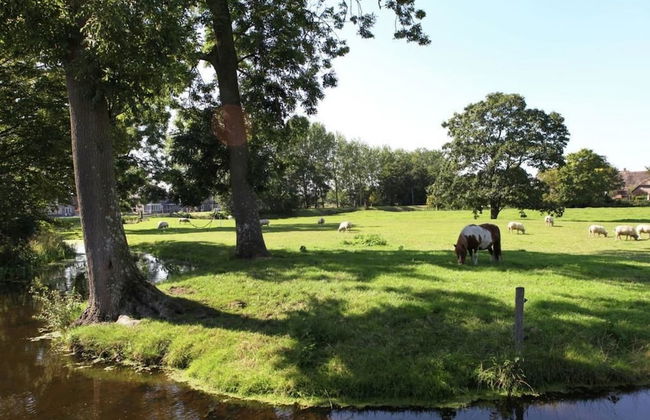 Rijnhoeve - Photo 34