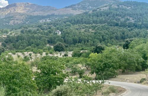 Villa in Torres with Pool near Sierra Mágina - Foto 22