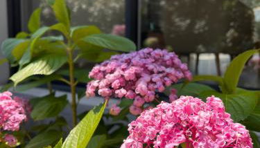 Location villa entre lac et océan avec son spa de nage - Foto 3