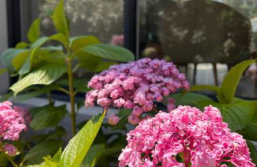 Location villa entre lac et océan avec son spa de nage - Foto 3