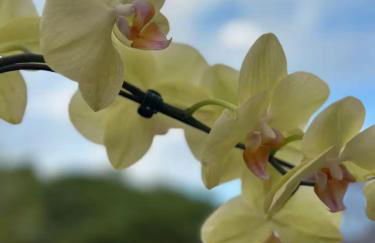 Lindo Sítio Estilo Moderno - Foto 62