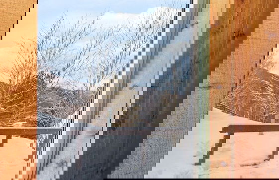 Clyde's Cabin 4 Bedroom Home - Foto 37