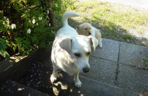 Agriturismo Cascina Serra - Foto 58