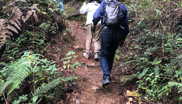 Aguas Blancas Waterfall Day Trip - Foto 2