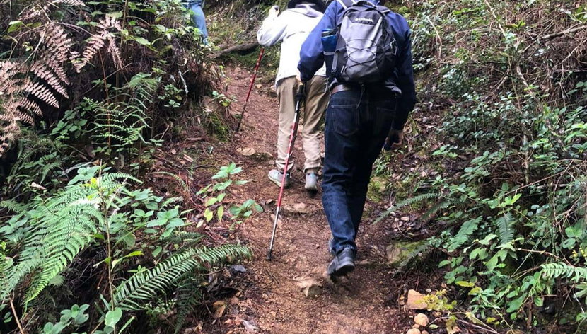 Aguas Blancas Waterfall Day Trip - Photo 2, Hike through the forest around Aguas Blancas Waterfall