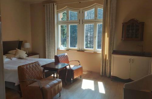 Willa Trebla - Foto 62