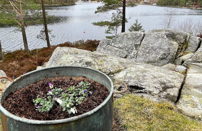 8 Person Holiday Home in Sveio - Foto 52