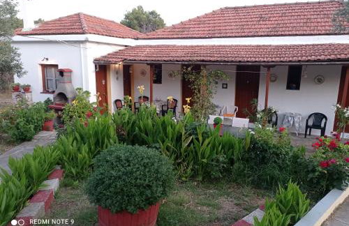 Armonia Guesthouse - Foto 50