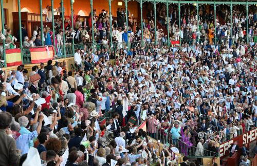 Bienvenidos a San Miguel - Foto 49