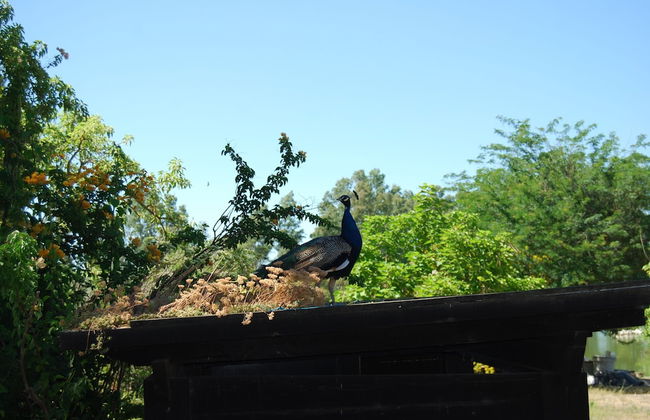 Vivienda Rural el Retorno - Foto 43