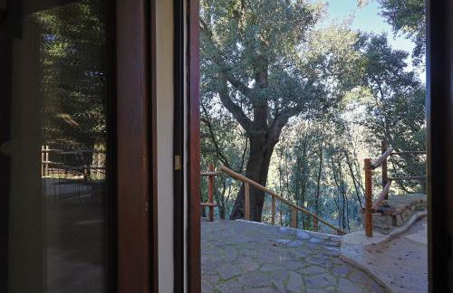 Agriturismo Campo al Crognolo - Foto 45