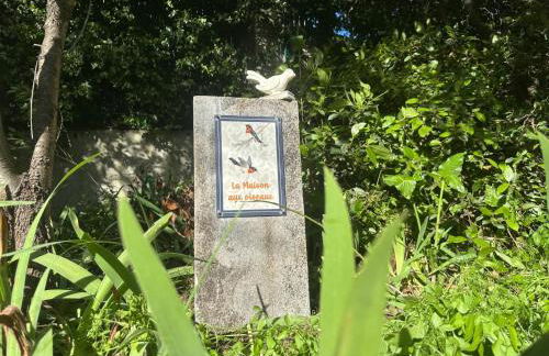 La maison aux oiseaux - Luberon - Foto 35