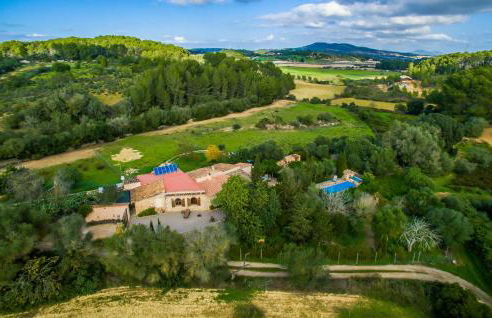 Higo Chumbo - Foto 12