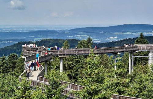 Sonnenblick Comfortable holiday residence - Photo 36