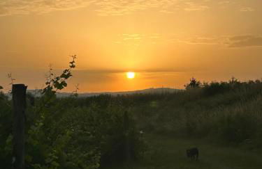 Cruna di Subida Wine Country House - Foto 46