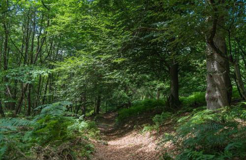 Masketts Barn by Bloom Stays - Photo 30