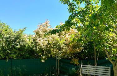 La Maison du Cerisier - Foto 13